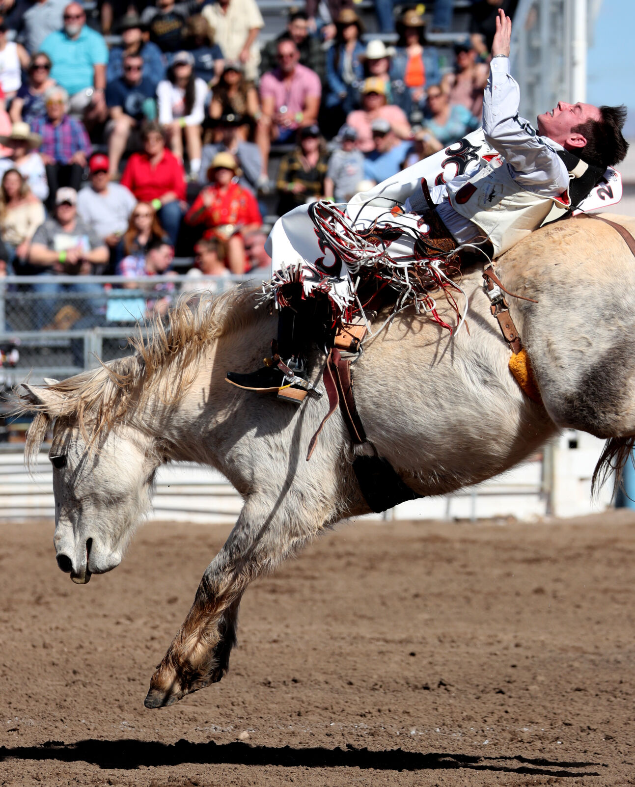 Fiesta de los Vaqueros